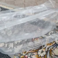 تلق چراغ جلو پراید