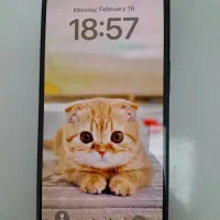 iphone16|موبایل|رشت, چله خانه|دیوار