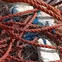 تور لنگری نو نو