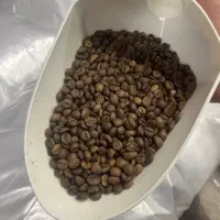 دان قهوه سبز