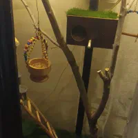 فروش قفس شیک و مجلسی دست ساز ( طرح بوفه )