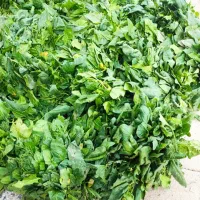 تمیزکاری سبزی و اسفناج