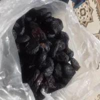 انجیر