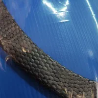 ورق نسوز پکینگ نسوز واشر سر سیلندر واشر منهول|ماشینآلات صنعتی|تهران, پامنار|دیوار