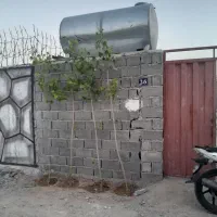 باغچه ۲۰۰متری باسندمادر کوچه هااسفالت|فروش زمین و ملک کلنگی|رباط‌کریم, رباط‌کریم|دیوار