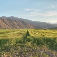 زمین مسکونی روستایی