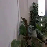 آپارتمان 2 خوابه امیرکبیر