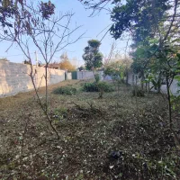 زمین فروشی یا معاوضه باخودروهم قیمت یاپایینترمیکنم|فروش زمین و ملک کلنگی|رشت, استادسرا|دیوار