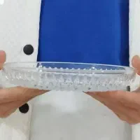 پیاله ویشقاب پذیرایی|ظروف سرو و پذیرایی|قم, قلعه کامکار|دیوار