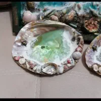 فروش صدف مرواریدساز