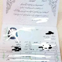 شناسنامه