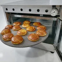 تنور گازی ۱۶ سینی