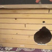 لونه عروسی هلندی
