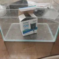 اکواریوم همراه پمپ|ماهی|تهران, مسعودیه|دیوار