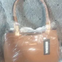کیف مجلسی