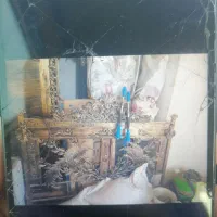 سرویس فرفروژه|تخت و سرویس خواب|گلبهار, شهر جدید گلبهار|دیوار