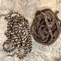 دو عدد چله(رسن)