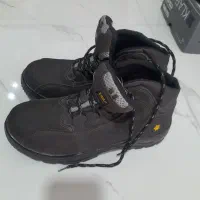 کفش کار تری مکس
