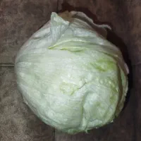 کاهو پیچ سالادی چینی