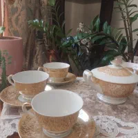 ظروف پذیرایی