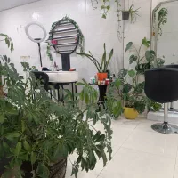 تمامی لاینهای آرایشی