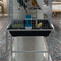 جفت گرینچیک دستی