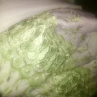 فروش پرده قیپور در حد نو