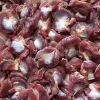 فروش سنگدان تازه و پاک شده