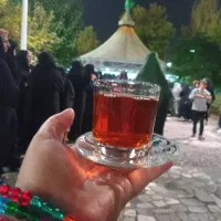 تور مشهد مقدس بمدیریت خانم امامی