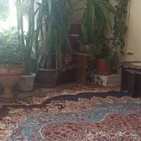 گل بزرگ طبیعی|گل و گیاه طبیعی|اصفهان, کشاورزی|دیوار