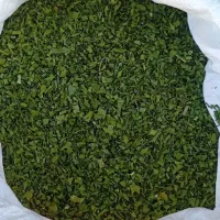 تره کوهی