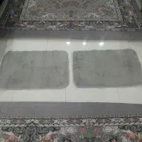 پادری طوسی ظریف