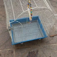 قفس سفید رنگ