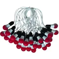 اجاره تجهیزات نورپردازی ایام فاطمیه|ریسه و چراغ تزئینی|فسا, |دیوار