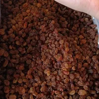 کشمش نو به بازار امد