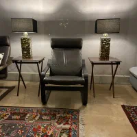 آباژور  امریکایی