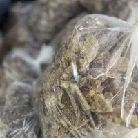 نبات طبیعی نی شکری