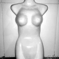 اتاق پرو رگال نیم تنه مانکن پا بادی|فروشگاه و مغازه|برازجان, |دیوار