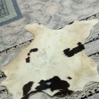 پوست تزیینی|صنایع دستی و سایر لوازم تزئینی|قرچک, میرزائی جنوبی|دیوار