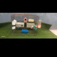 همگی سالم|تلفن رومیزی|محلات, |دیوار