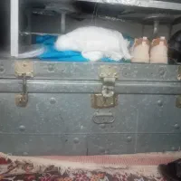 چمدون بزرگ