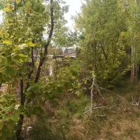 فروش-زمین-در-روستای-گشیگان