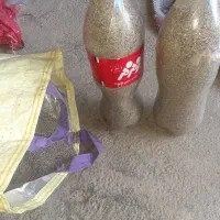 گل گیاه|گل و گیاه طبیعی|کوهدشت, |دیوار