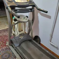 تردمیل|تجهیزات ورزشی|رشت, کاکتوس|دیوار