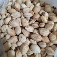 بادام درختی شیرین سنگی و پوست کاغذی