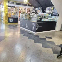 منطقه آزاد انزلی ستاره شمال