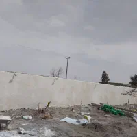 کاربنایی  پلاستر سیا سفید