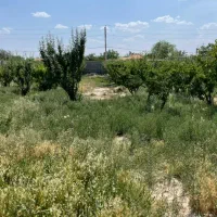 باغ چهاردیواری ۱۵۰۰متر دربهترین لوکیشن دهشادشهریار|فروش دفتر صنعتی، کشاورزی، تجاری|تهران, تهرانسر مرکزی|دیوار