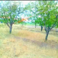 زمین باغی هرباتمانش۷۳ت دریالقوزآغاج