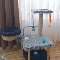 اسکرچر گربه نو (درخت گربه)